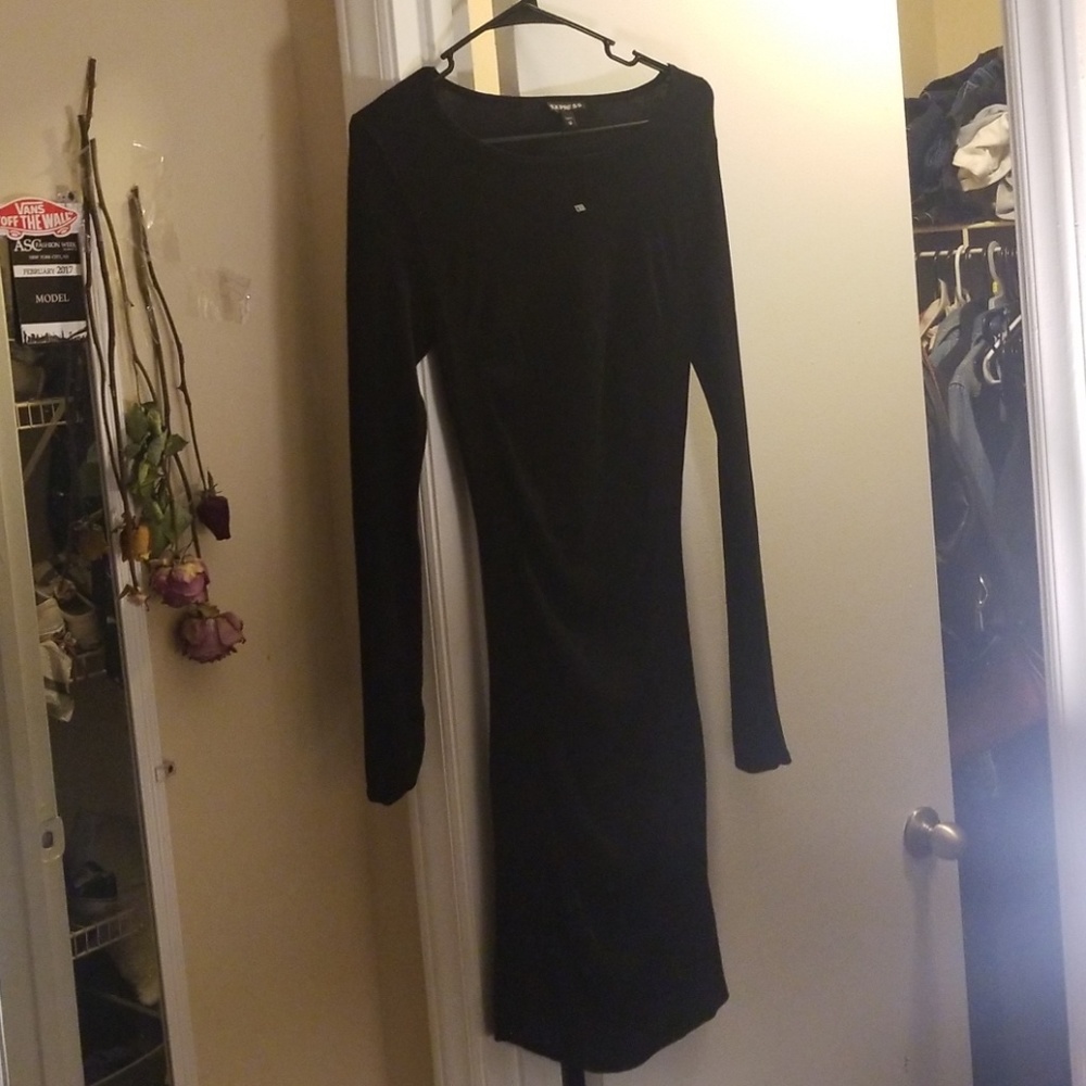 Express Long sleeved dress